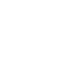 دليل silver road